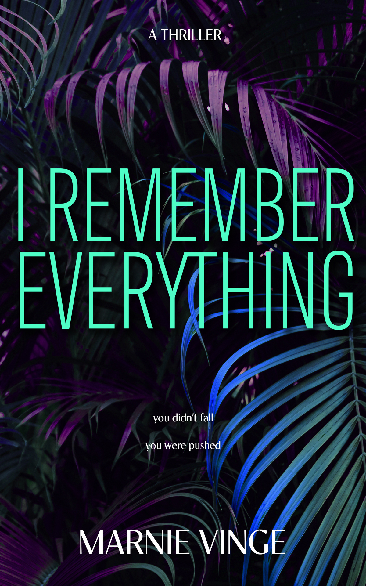 I Remember Everything A Dark And Twisty Psychological Thriller Dark And Twisty Psychological Thrillers Marnie Vinge