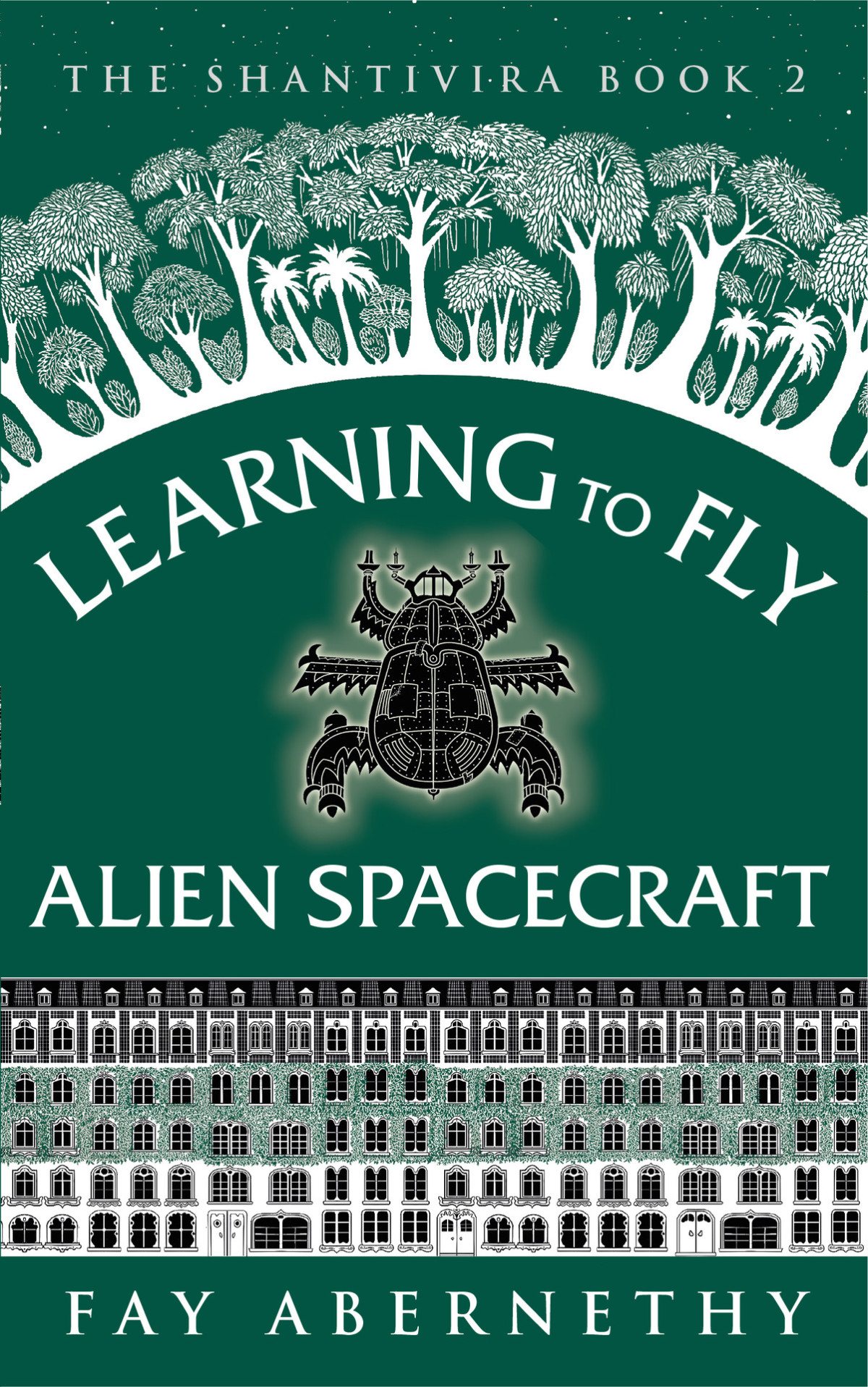 Learning To Fly Alien Spacecraft The Shantivira Book 2 Fay Abernethy