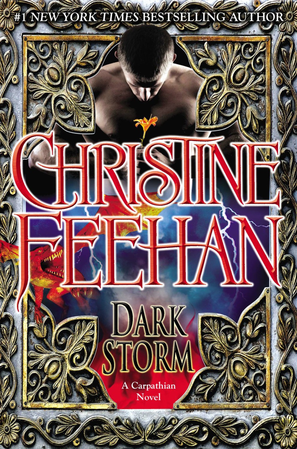 Dark Storm Christine Feehan