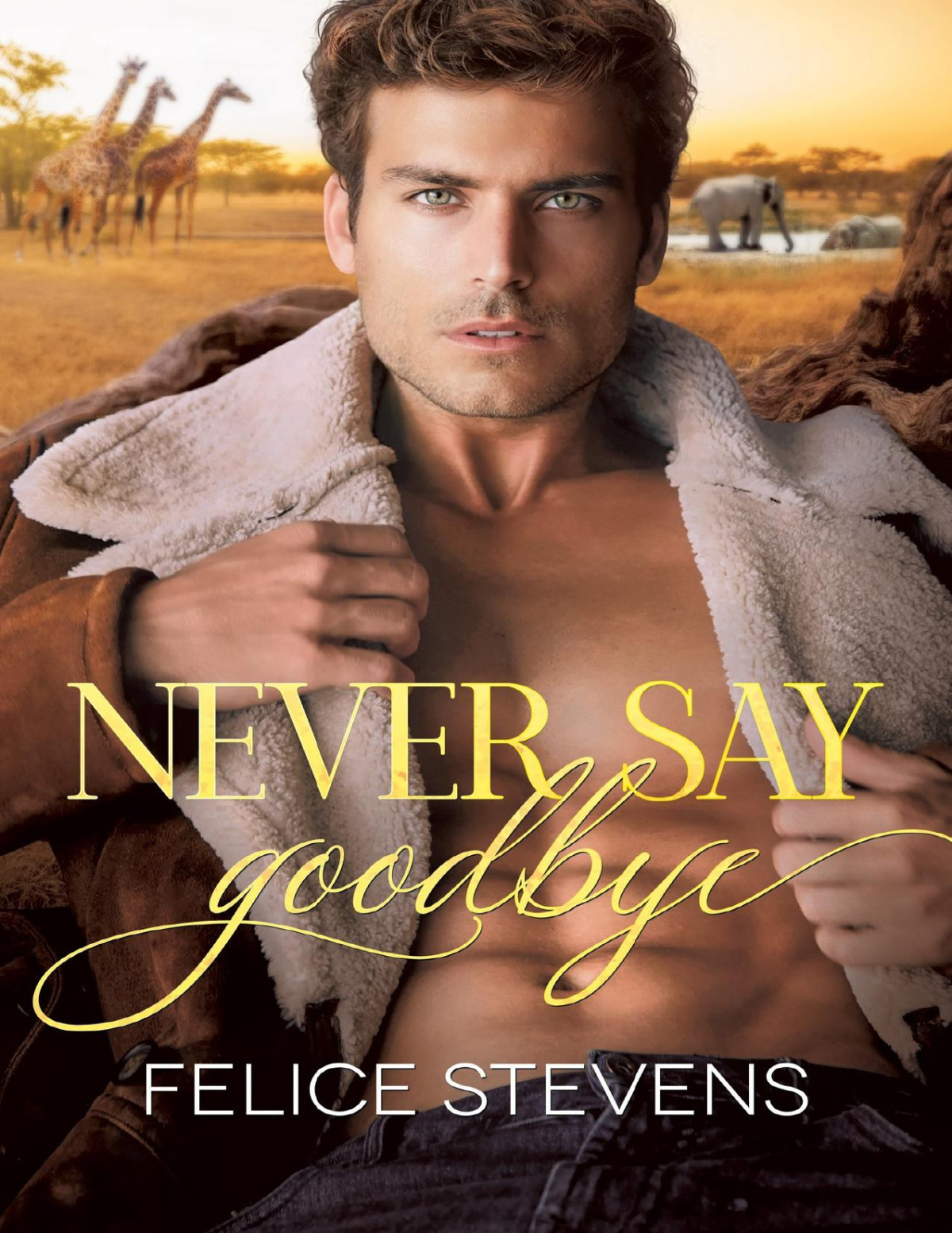 Never Say Goodbye Stevens Felice