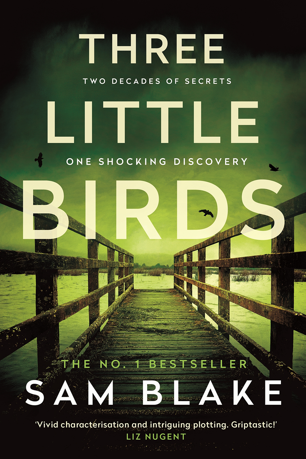 Three Little Birds Sam Blake