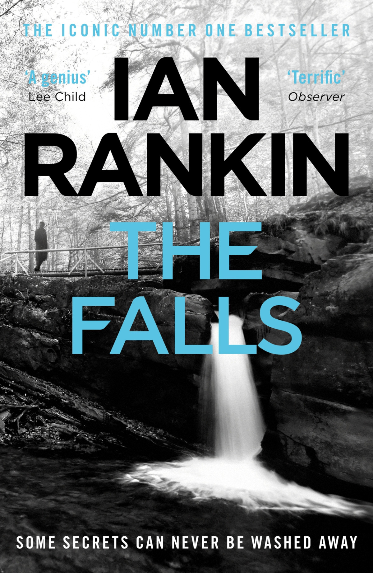 The Falls Inspector Rebus Ian Rankin