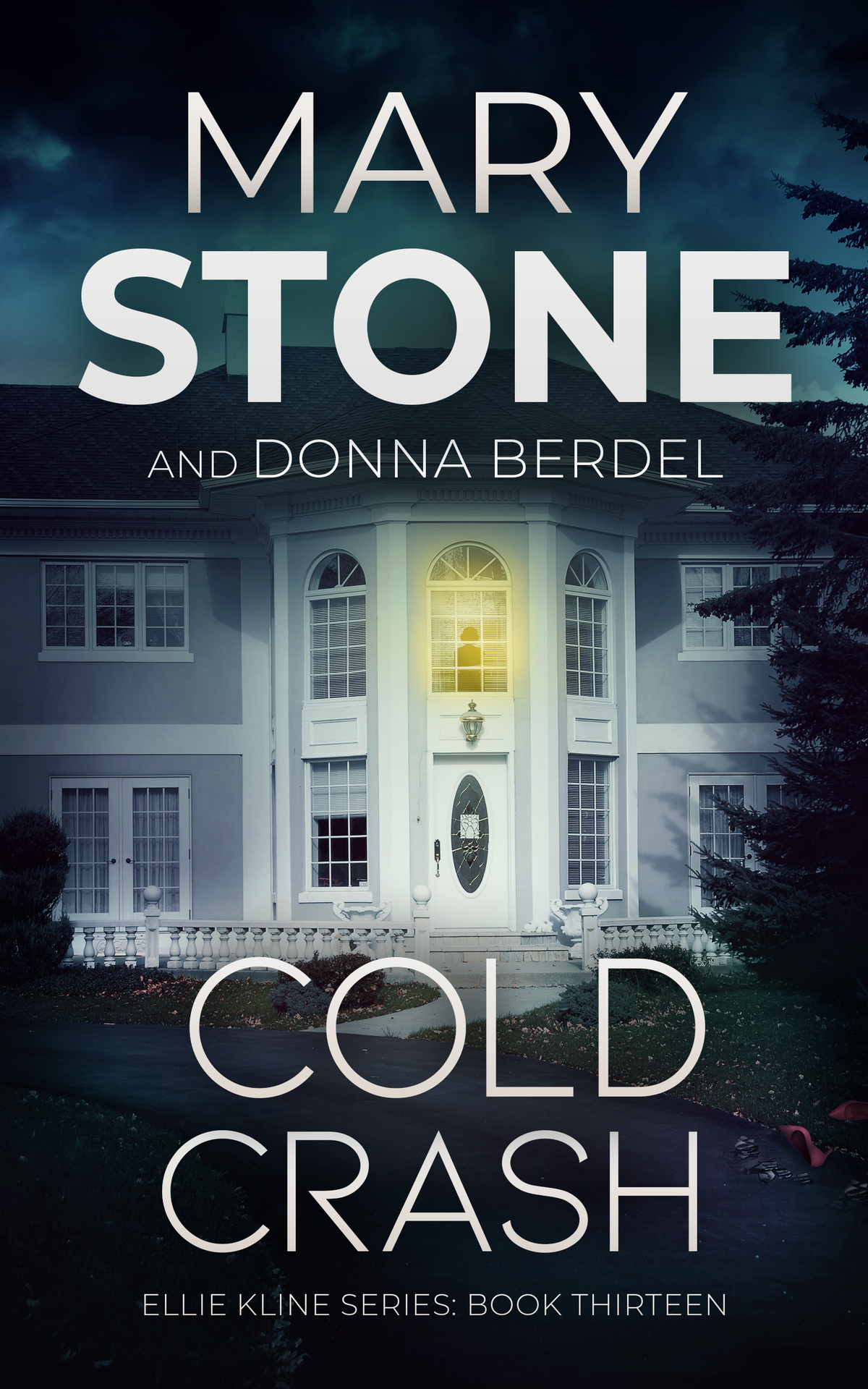 Cold Crash Ellie Kline Psychological Thriller Series Book 13 Mary Stone