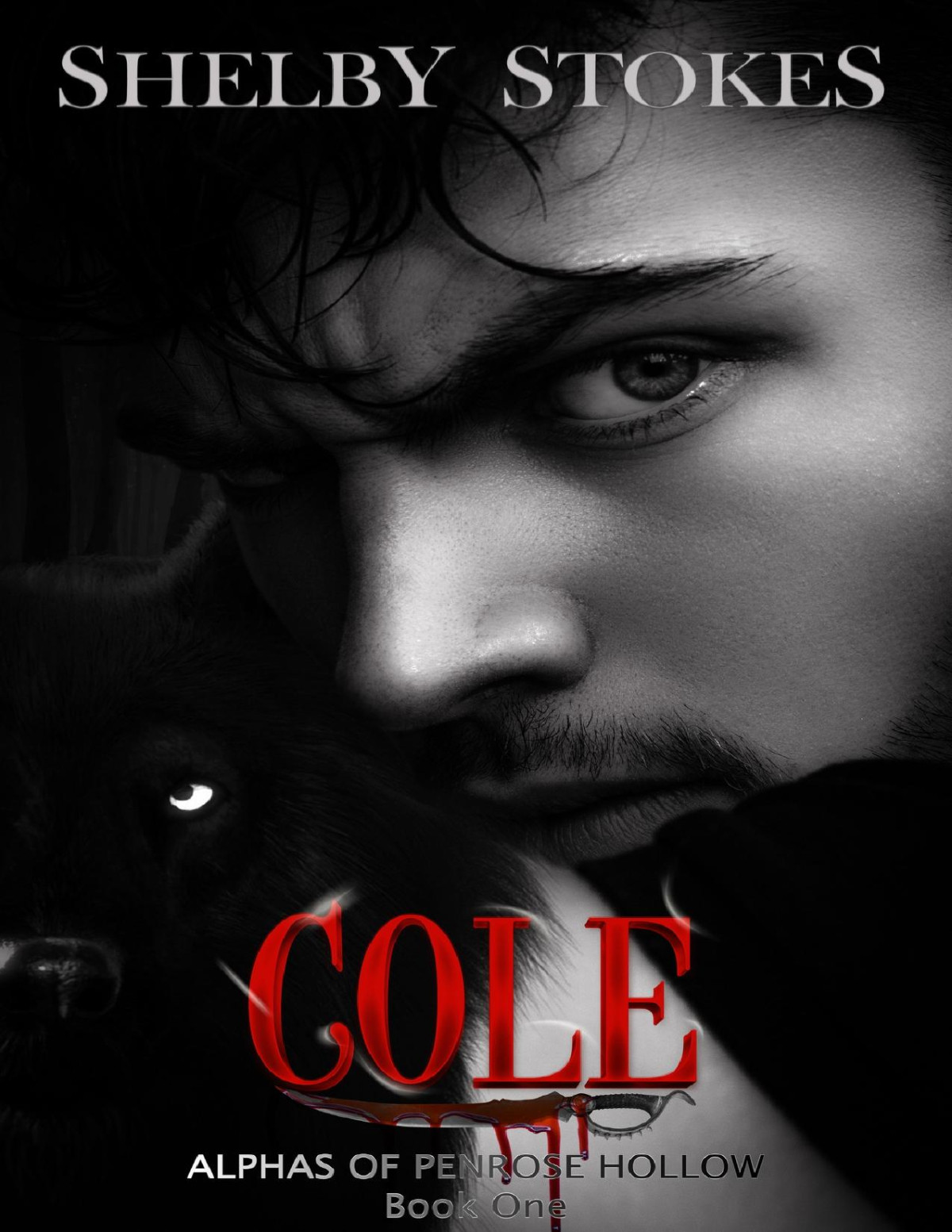 Cole Alphas Of Penrose Hollow Shelby Stokes