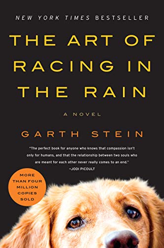 The Art Of Racing In The Rain A Novel 1st Stein Garth