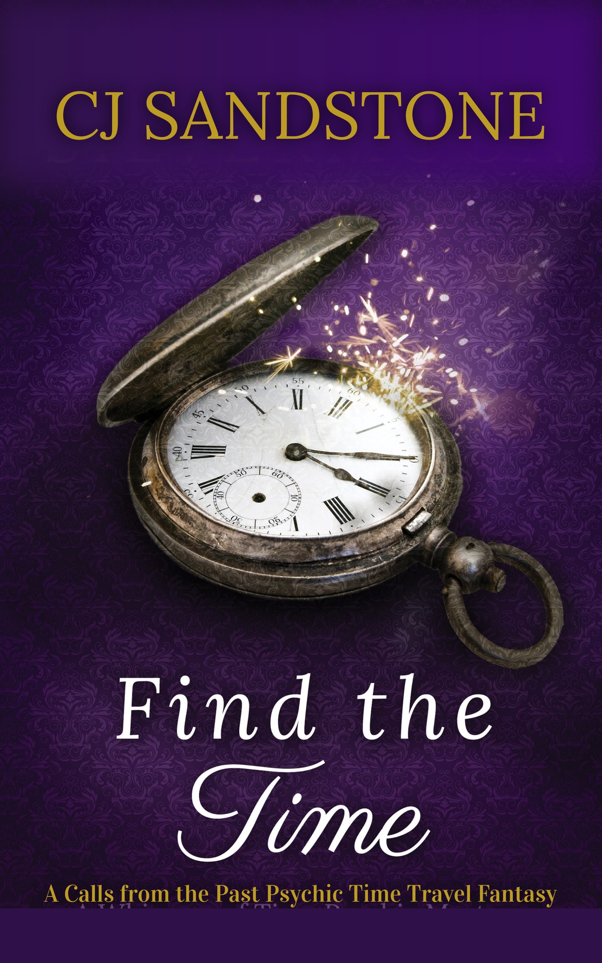 Find The Time A Calls From The Past Psychic Time Travel Fantasy 1st Edition Cj Sandstone