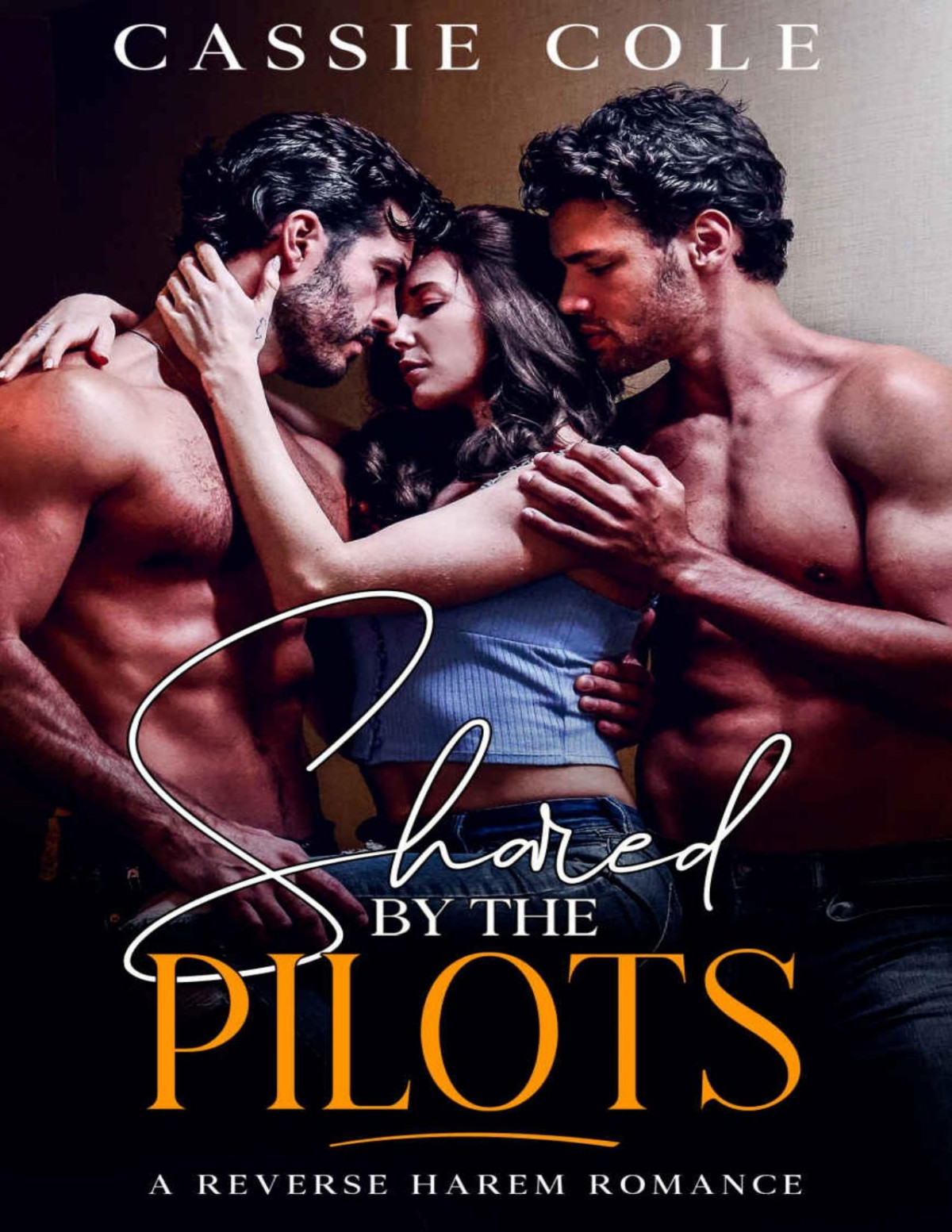 Shared By The Pilots A Reverse Harem Romance Cassie Cole