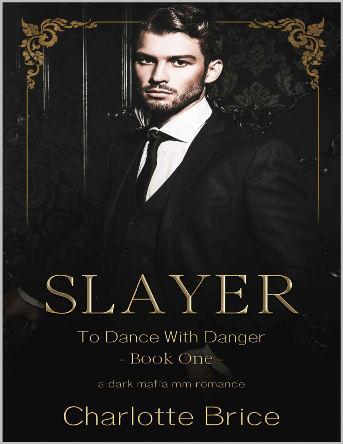 Slayer Mm Contemporary Dark Mafia Romance To Dance With Danger Book 1 Charlotte Brice
