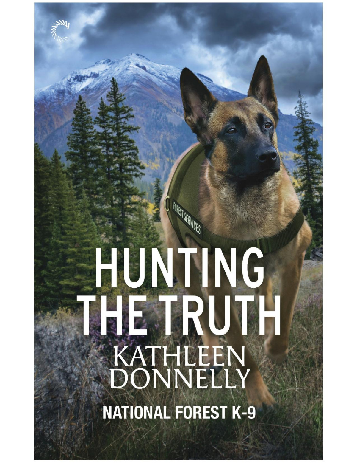 Hunting The Truth Kathleen Donnelly