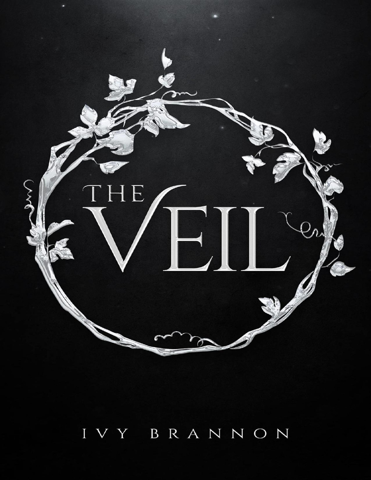The Veil The Veil Series Book 1 Ivy Brannon