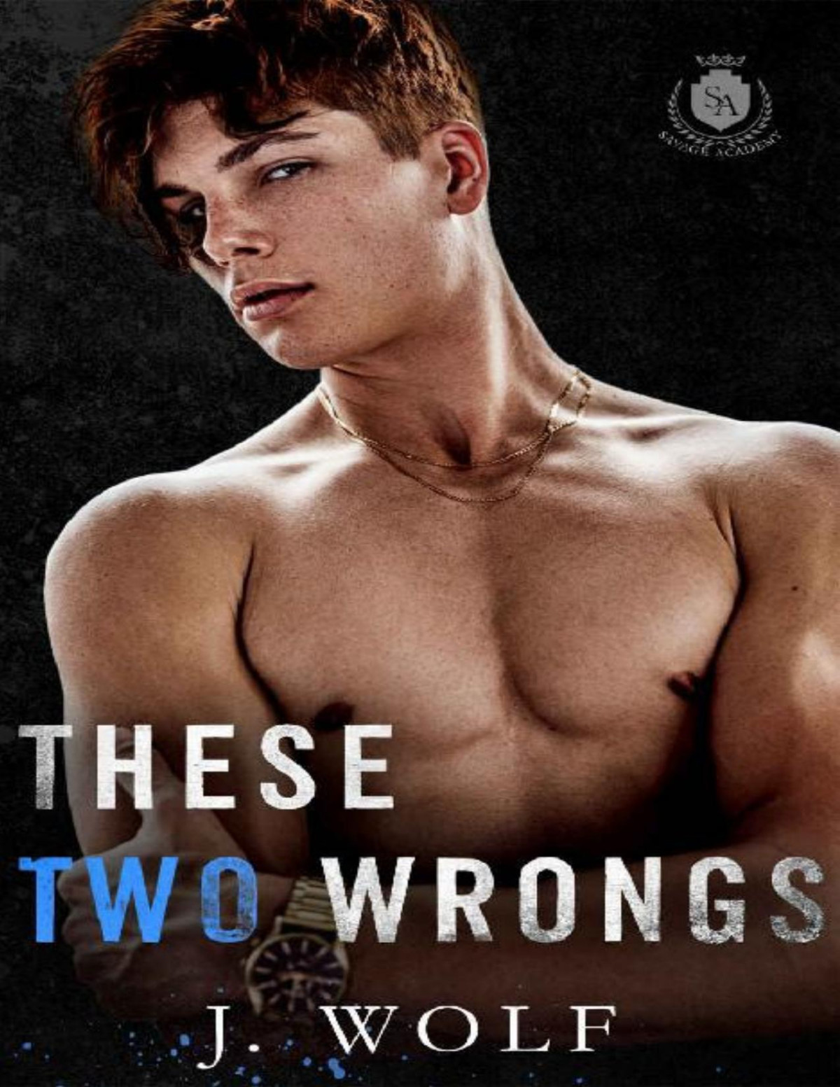 These Two Wrongs An Enemies To Lovers Academy Romance Savage Academy Julia Wolf J Wolf