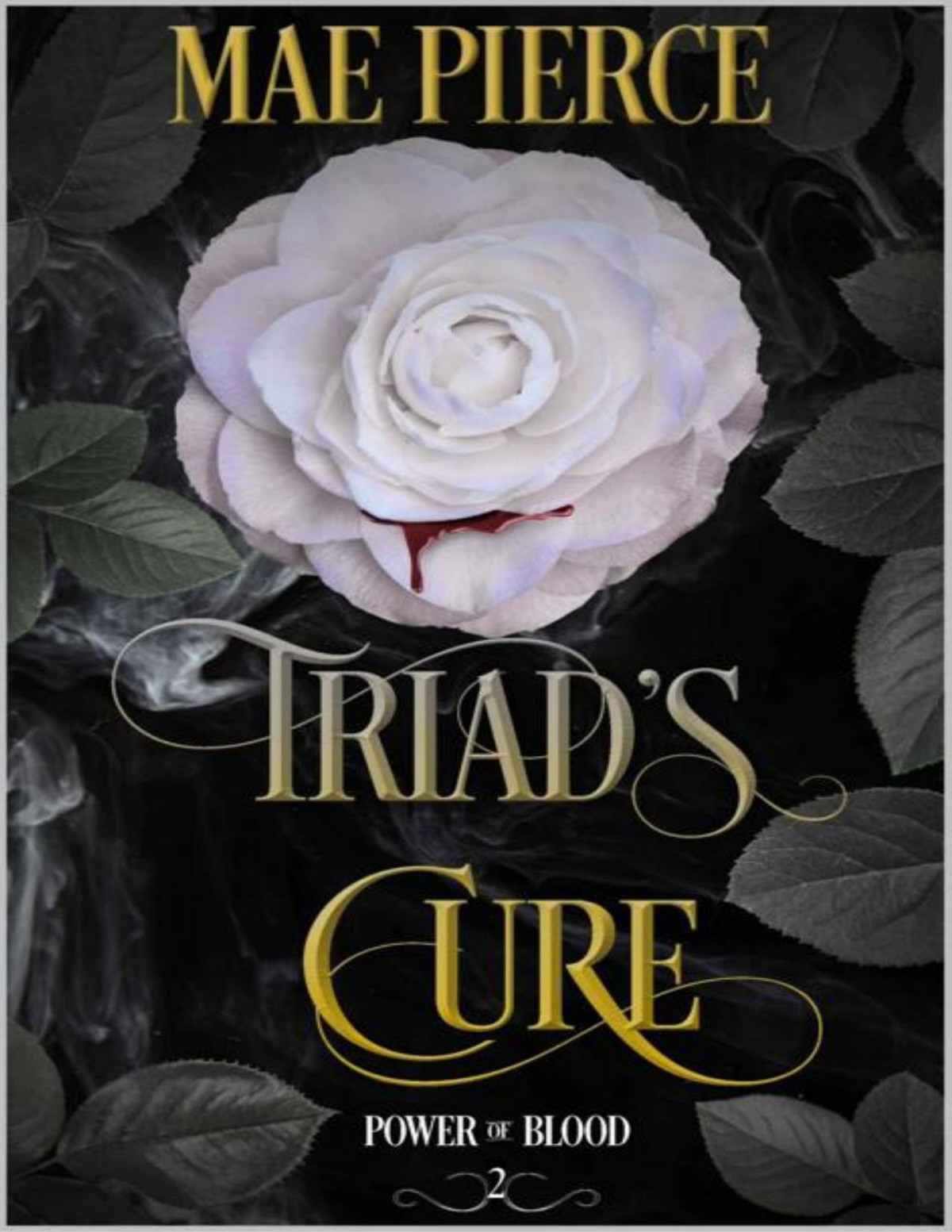 Triads Cure Power Of Blood Book 2 Mae Pierce