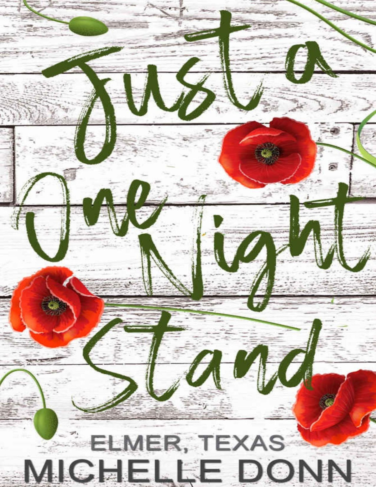 Just A One Night Stand Elmer Texas Book 2 Michelle Donn