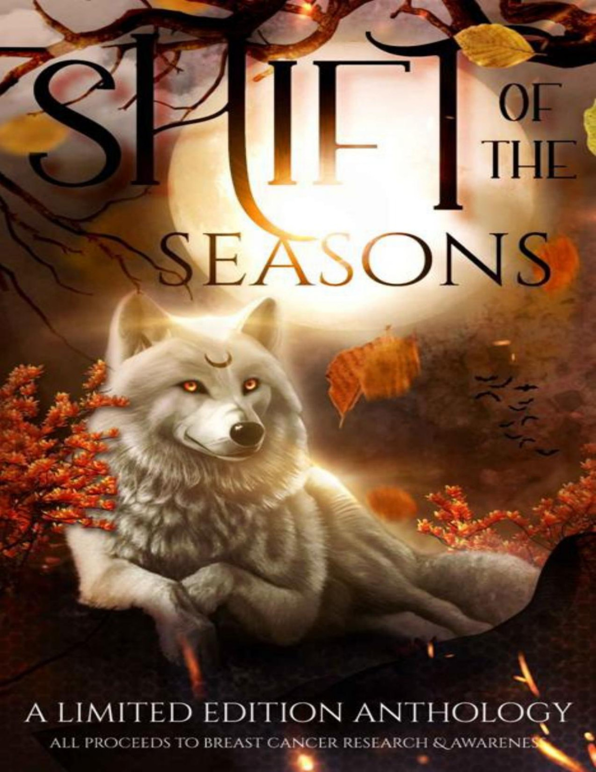 Shift Of The Seasons A Charity Anthology Mj Marstens Anika Skye Ck Beggan Elva Birch Eve Bale Eve L Hart Ingrid Seymour Kimberly Quay Michelle Areaux Nicole Zoltack