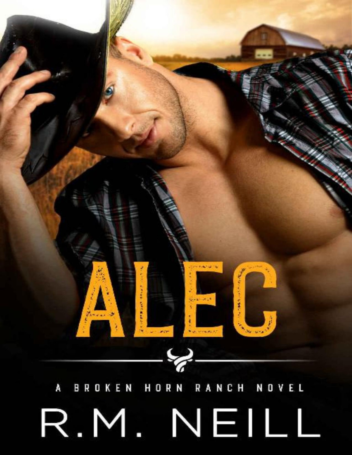 Alec Mm Friends To Lovers Cowboy Romance The Broken Horn Ranch Rm Neill