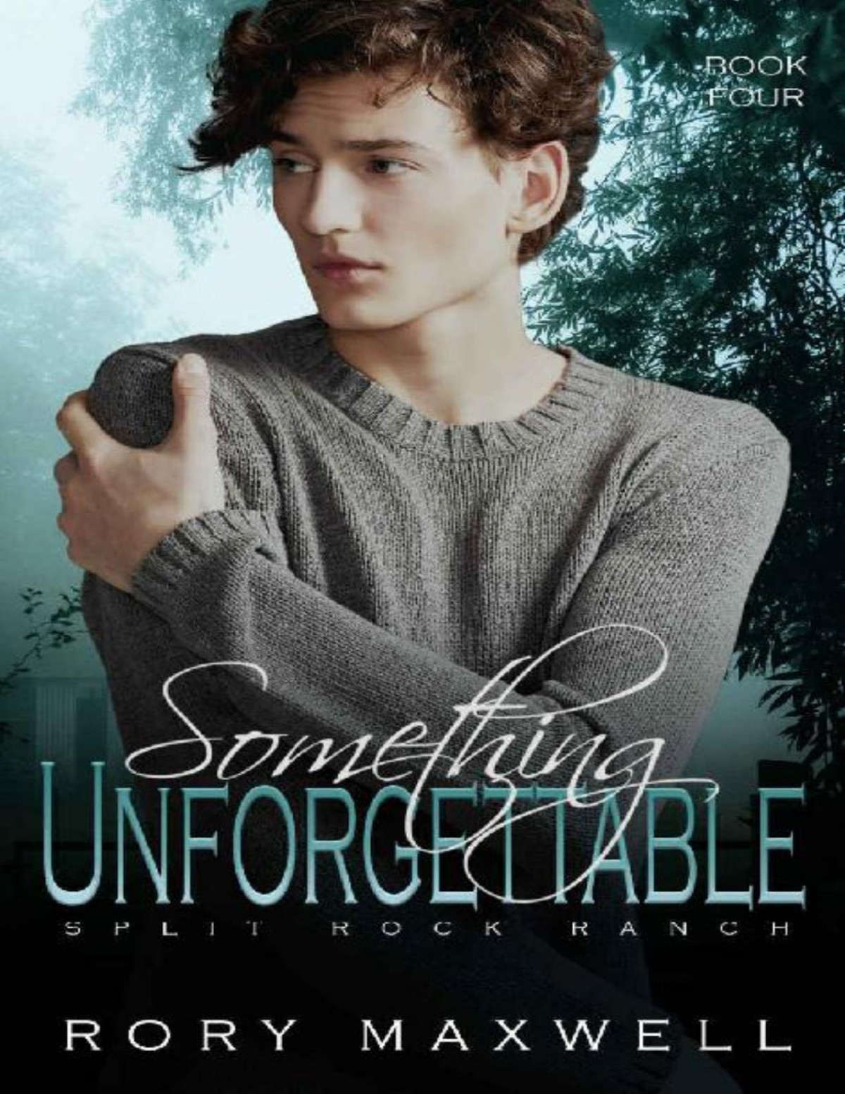 Something Unforgettable An Mm Daddy Romance Split Rock Ranch Book 4 Rory Maxwell