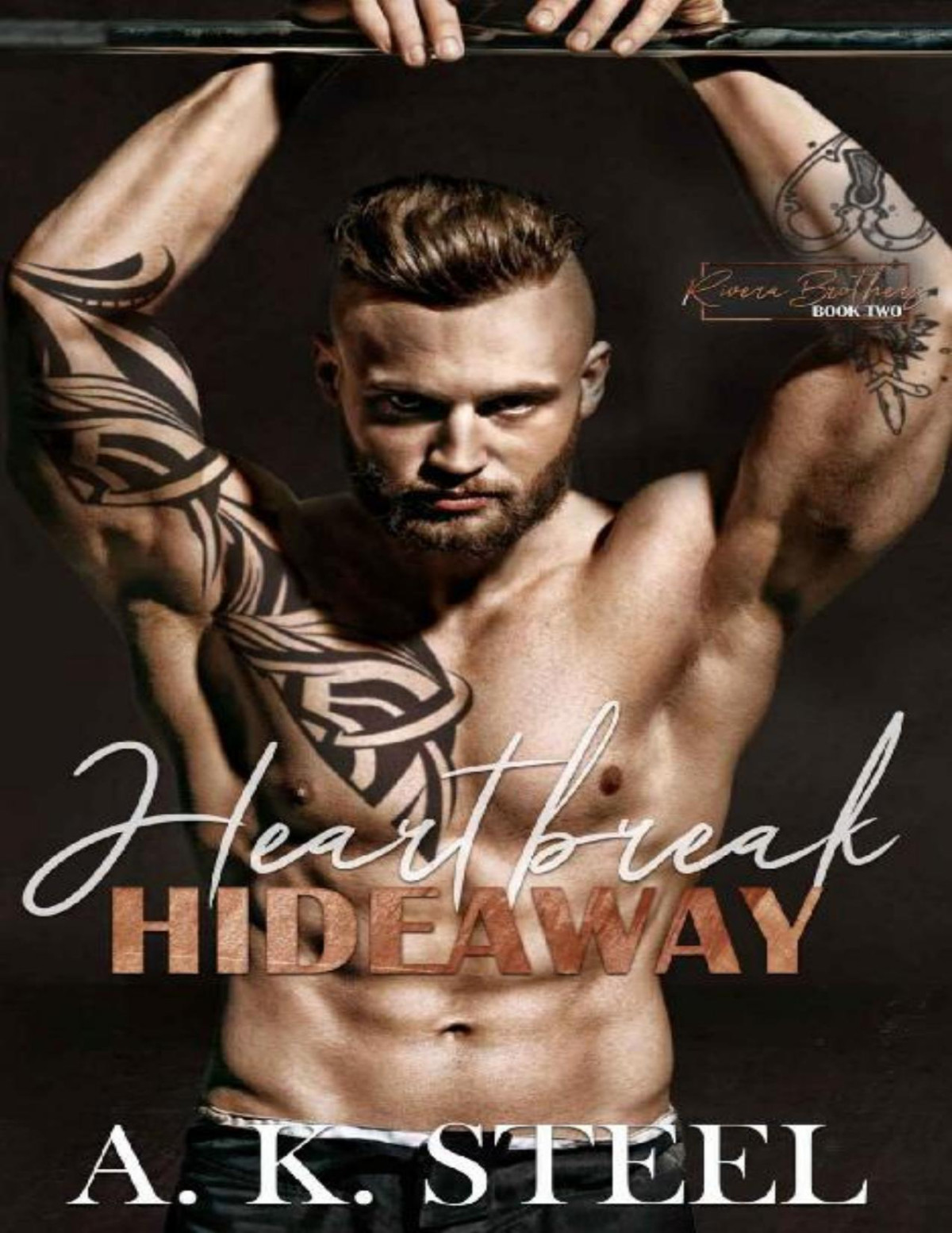 Heartbreak Hideaway Forced Proximity Bodyguard Romance Rivera Brothers Book 2 A K Steel