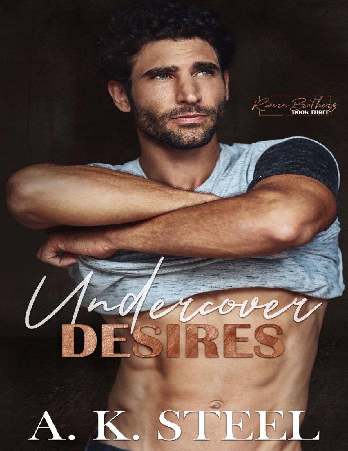Undercover Desires A Forbidden Love Mafia Romance A K Steel