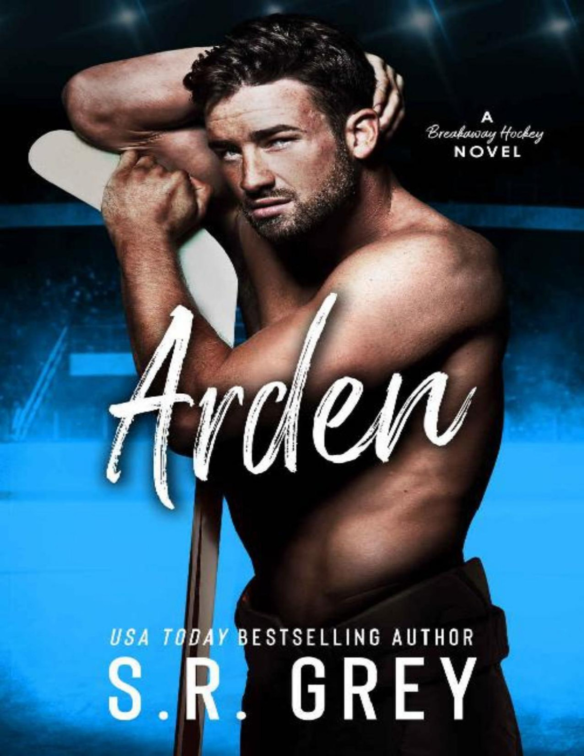 Arden Breakaway Hockey Book 2 Sr Grey