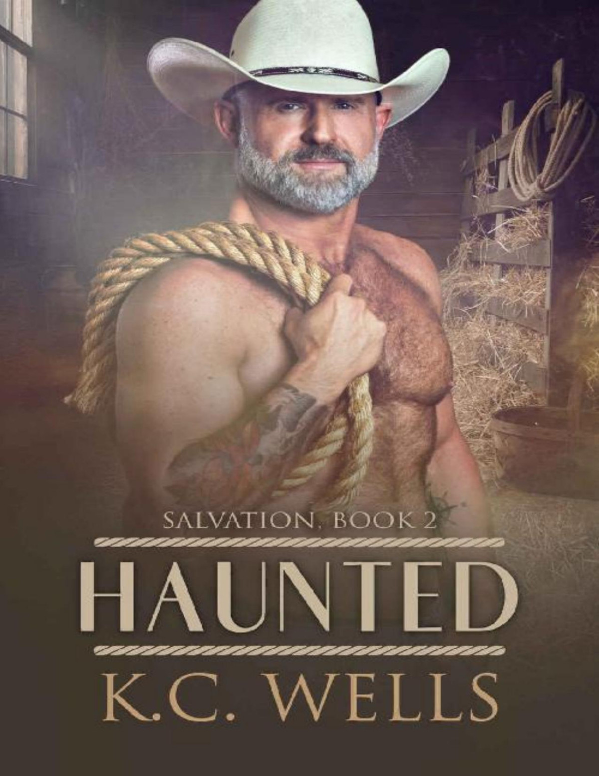 Haunted Salvation Book 2 Kc Wells