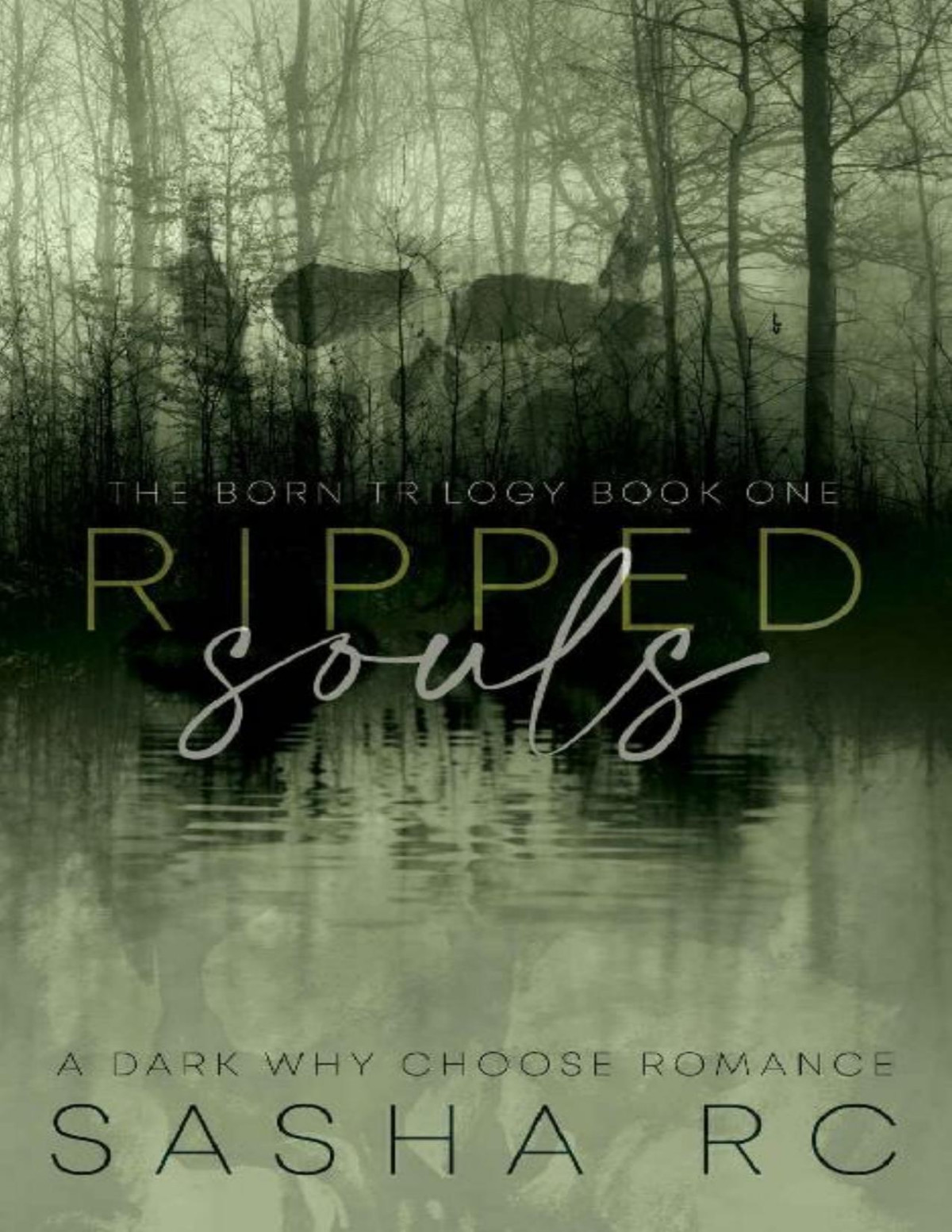 Ripped Souls Book 1 A Dark Why Choose Romance The Born Trilogy Sasha Rc