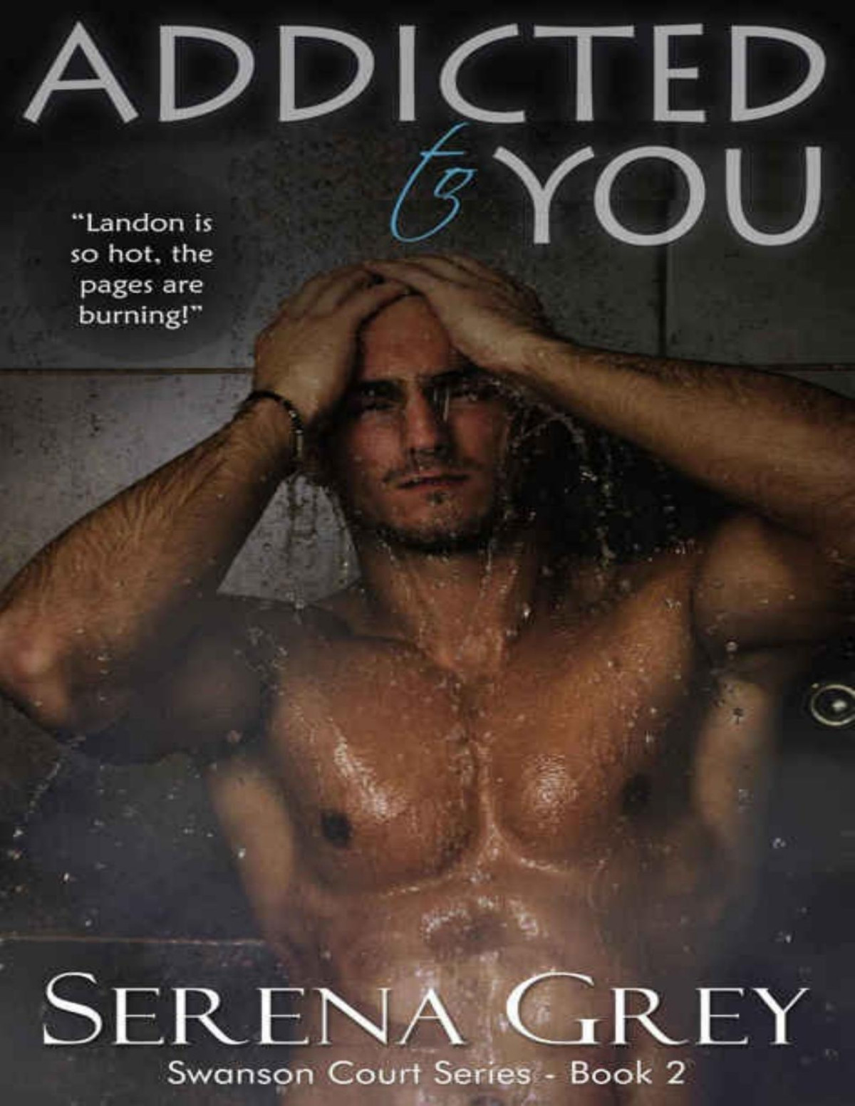 Addicted To You Serena Grey