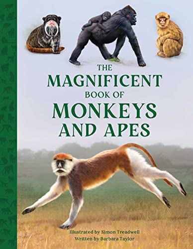 The Magnificent Book Of Monkeys And Apes Barbara Taylor Simon Treadwell