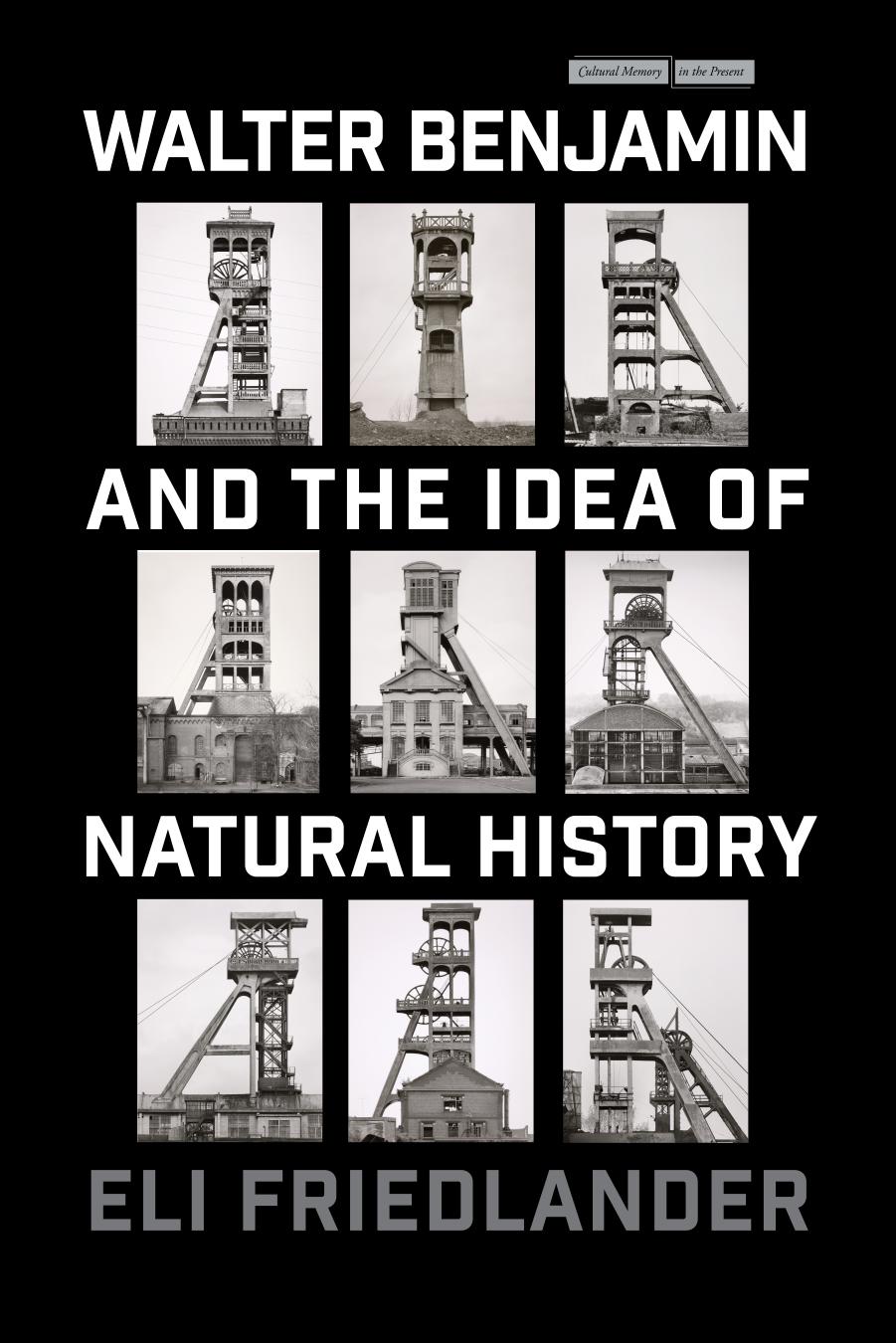 Walter Benjamin And The Idea Of Natural History Cultural Memory In The Present 1st Edition Friedlander