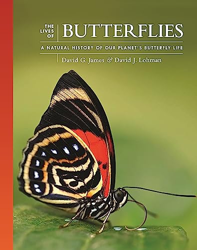 The Lives Of Butterflies A Natural History Of Our Planets Butterfly Life James