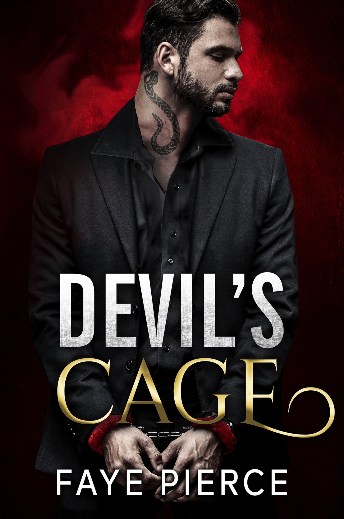 Devils Cage Dark Mafia Romance Faye Pierce