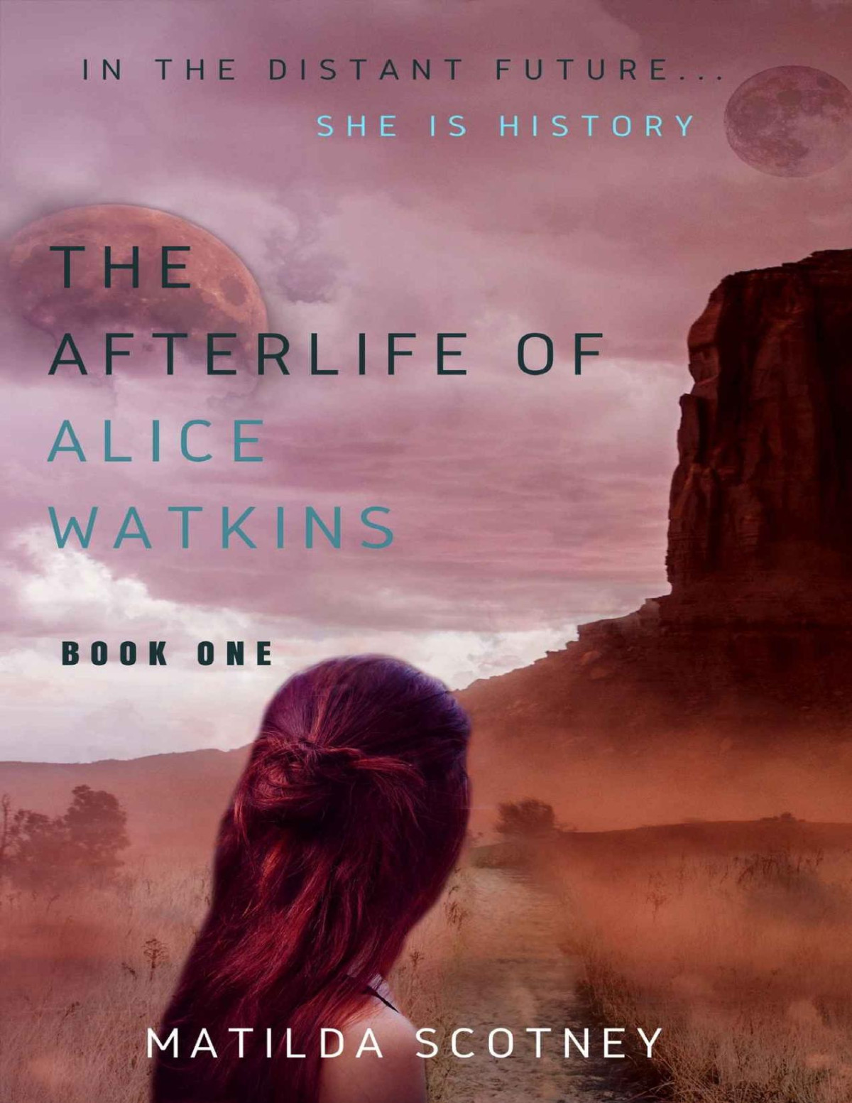 The Afterlife Of Alice Watkins 01 A Time Travel Mystery Matilda Scotney