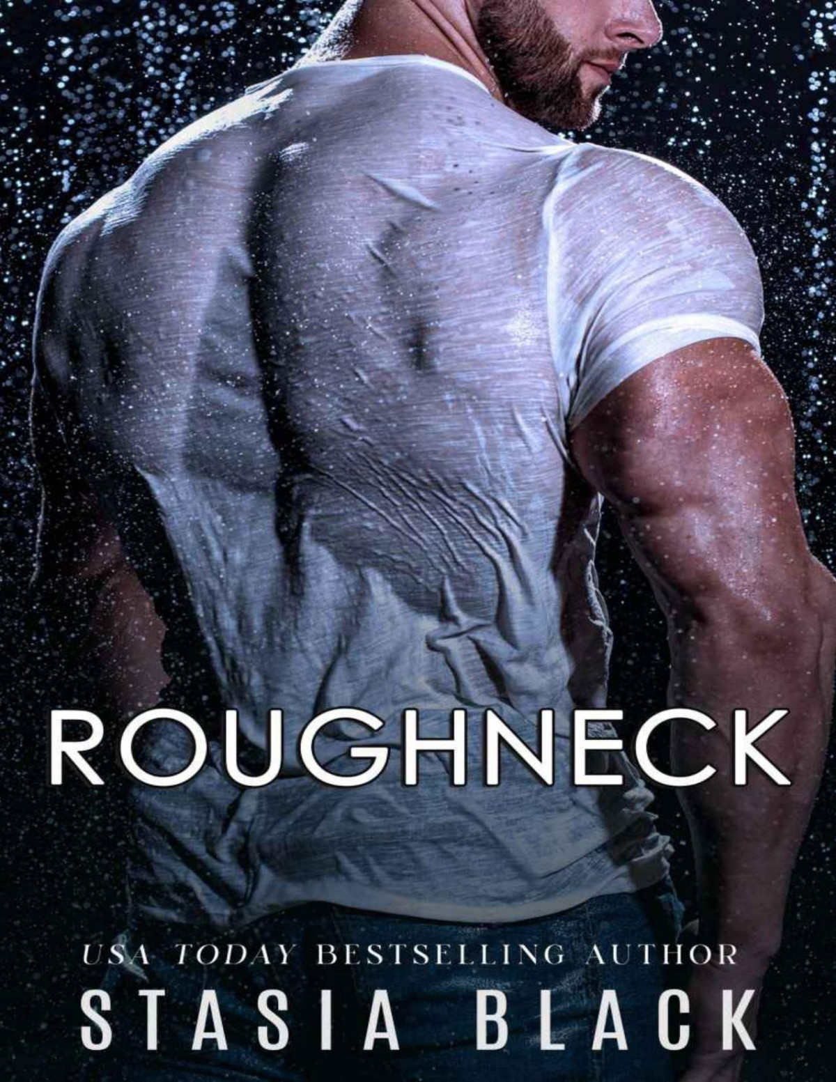 Roughneck Steamy Small Town Dark Romance Collection Stasia Black