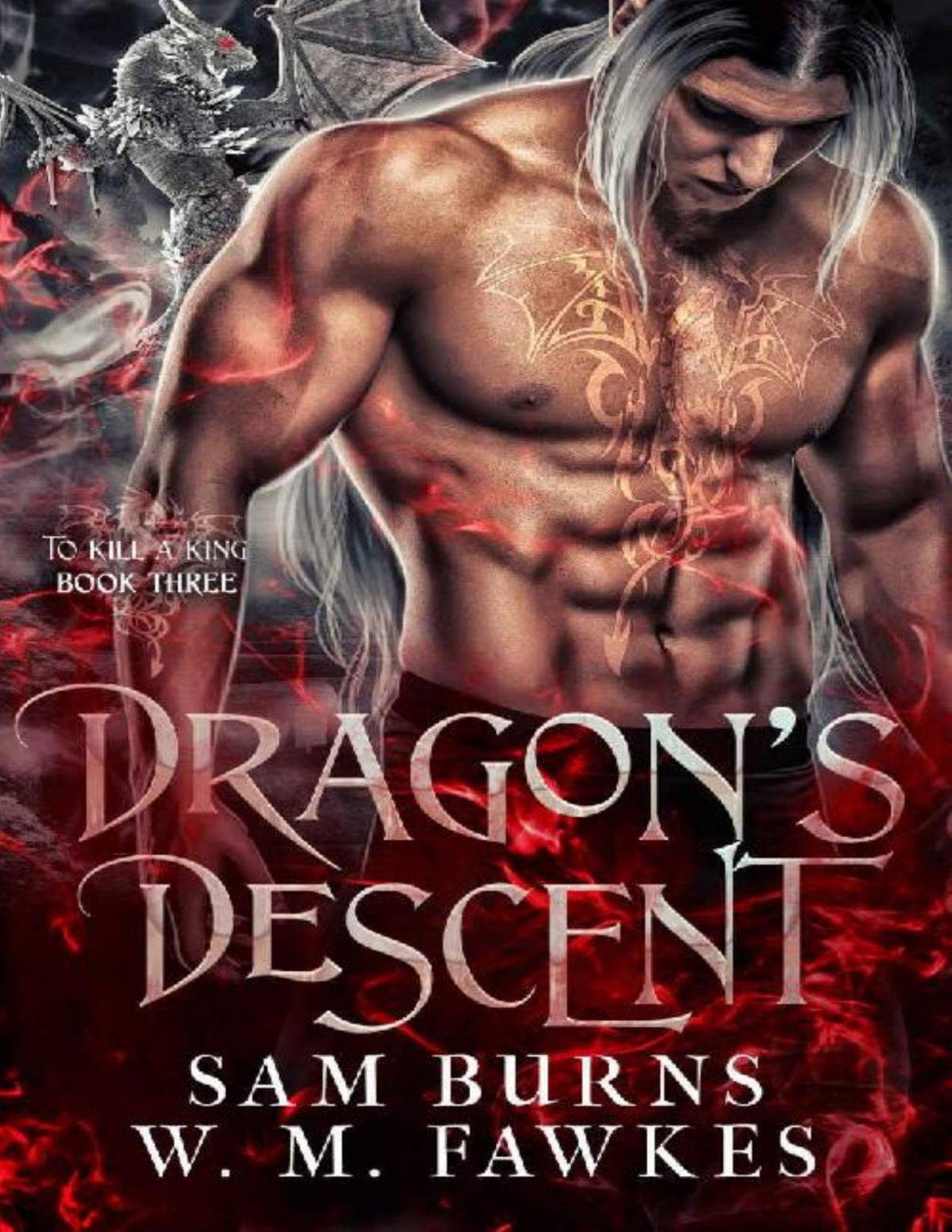 Dragons Descent To Kill A King Book 3 Sam Burns Wm Fawkes