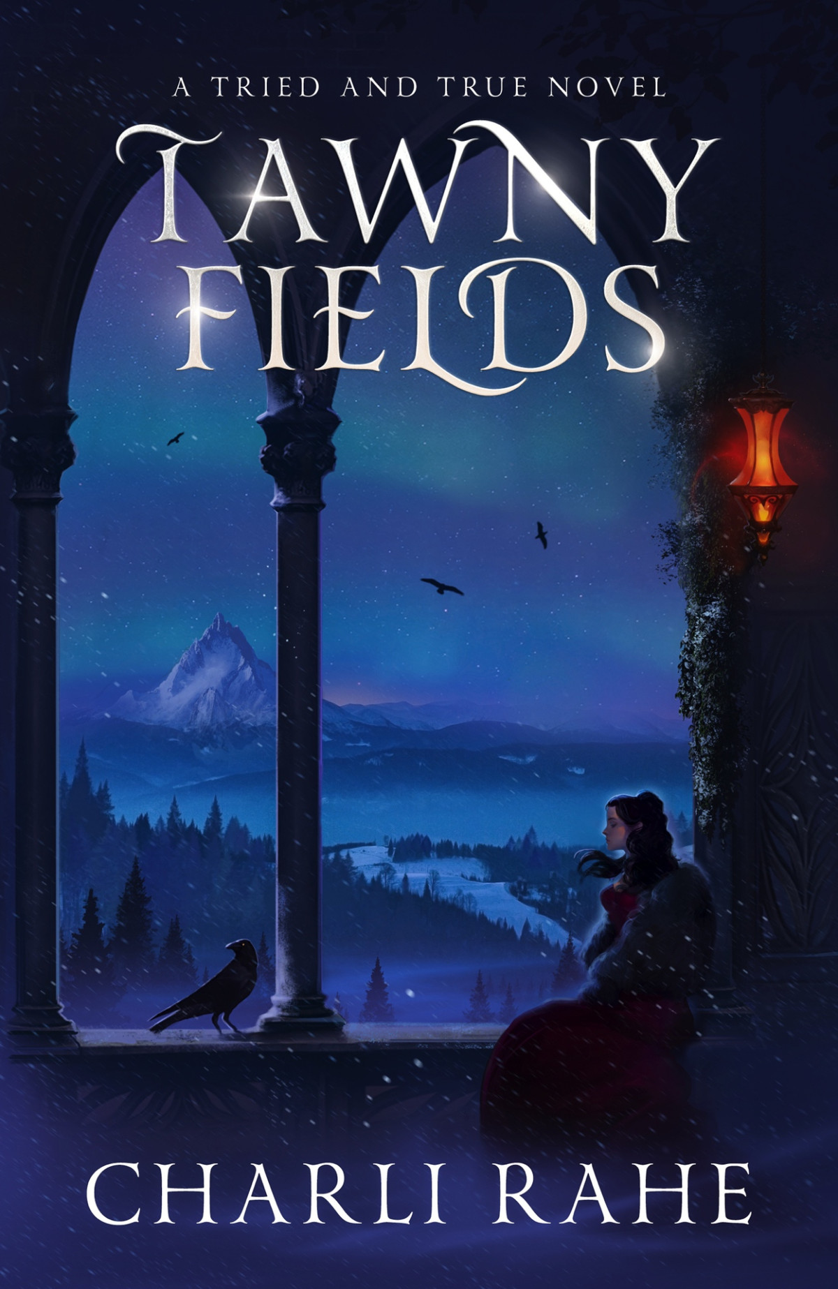 Tawny Fields A Tried True Novel Tried True Series Book 6 Charli Rahe