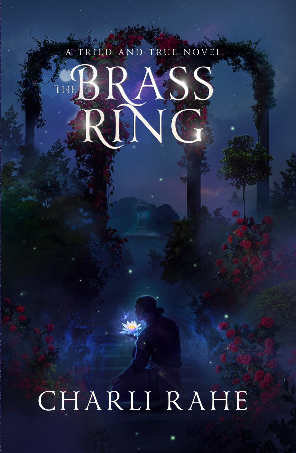 The Brass Ring A Tried True Novel Tried True Series Book 5 Charli Rahe