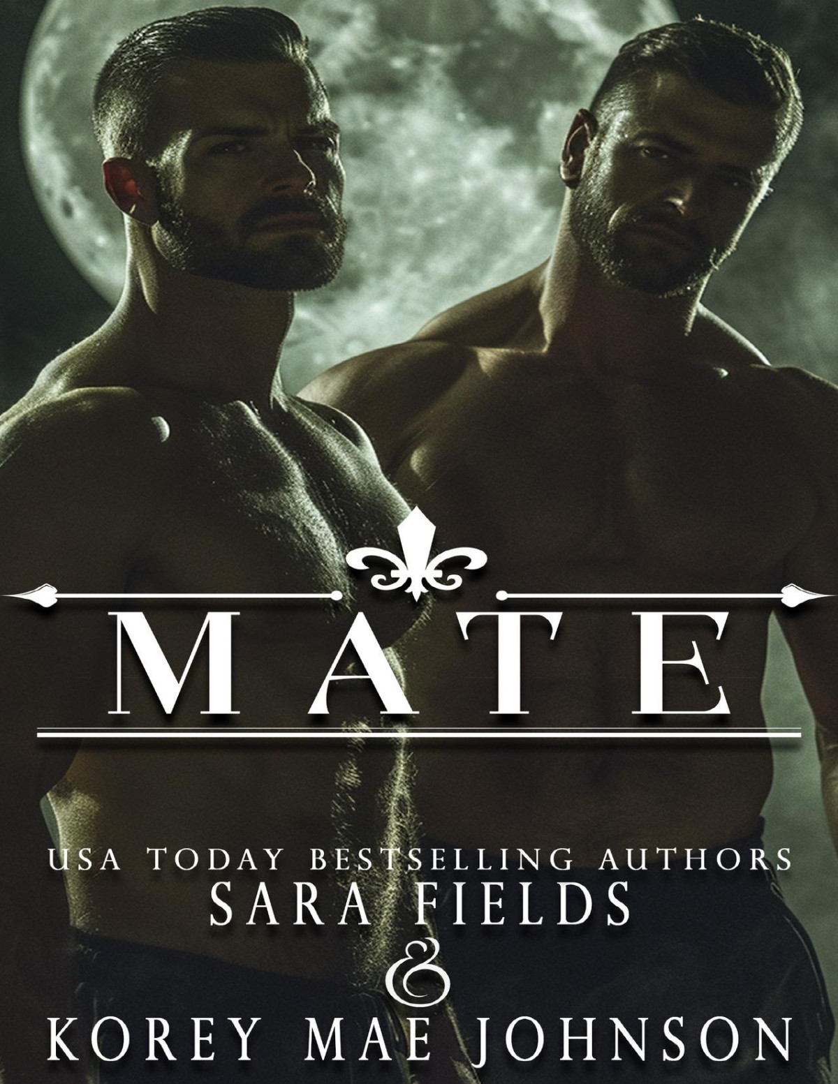 Mate A Dark Wolf Shifter Romance Sara Fields Korey Mae Johnson