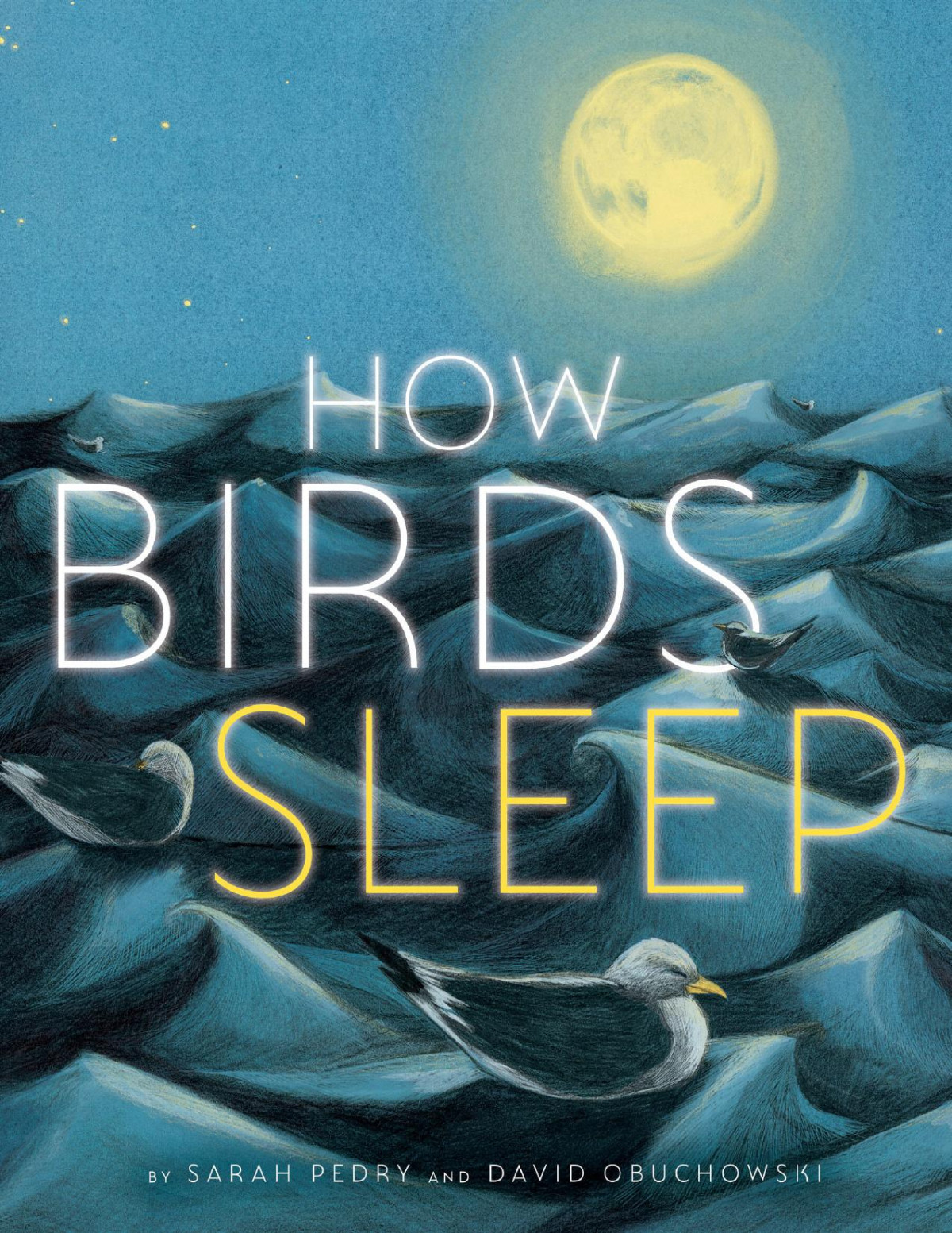 How Birds Sleep Sarah Pedry