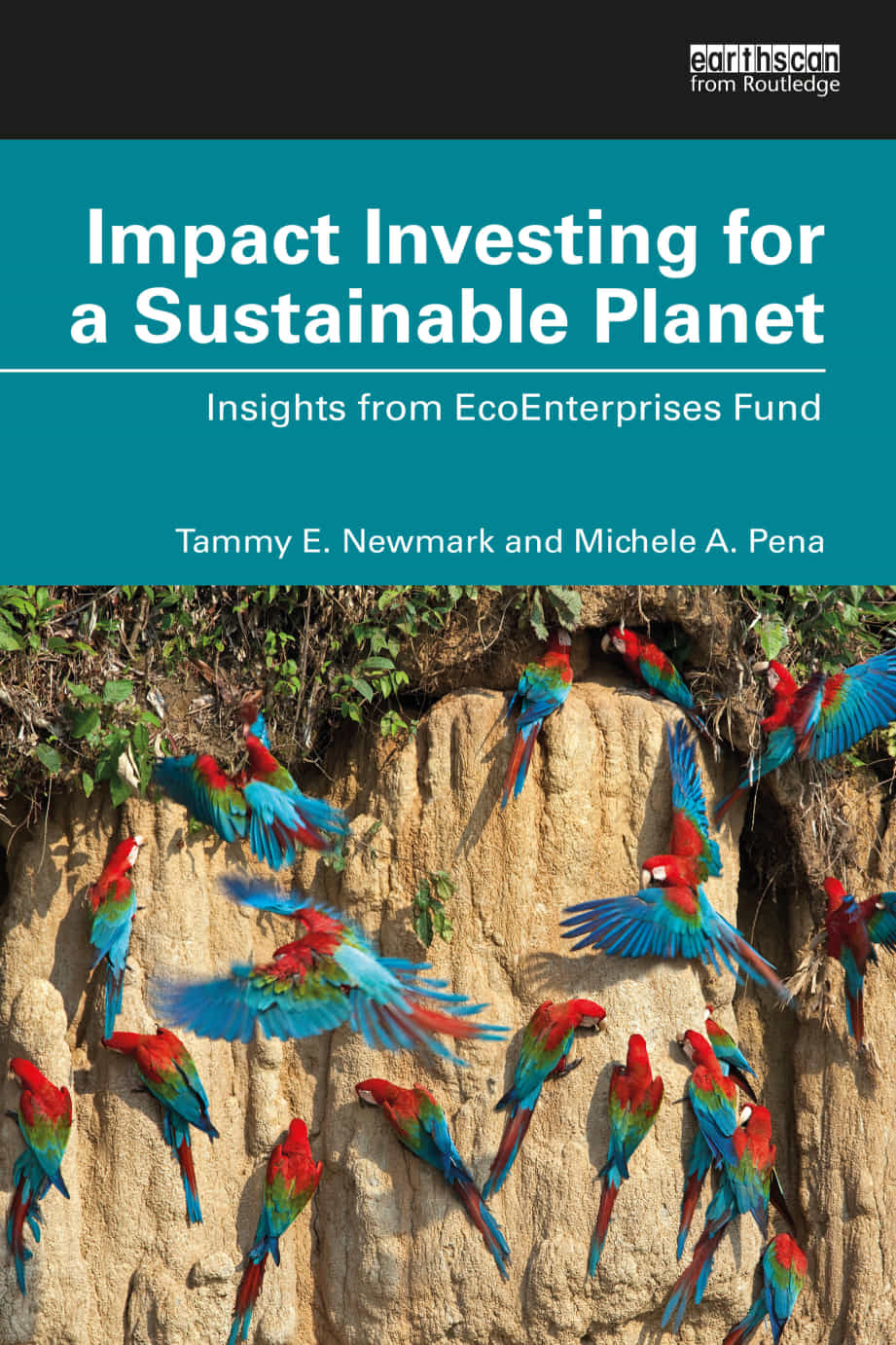 Impact Investing For A Sustainable Planet Insights From Ecoenterprise Fund Tammy E Newmark