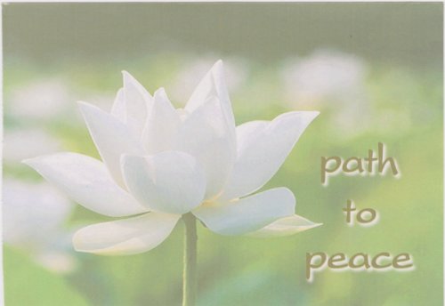 Path To Peace 1st Wuling Shi