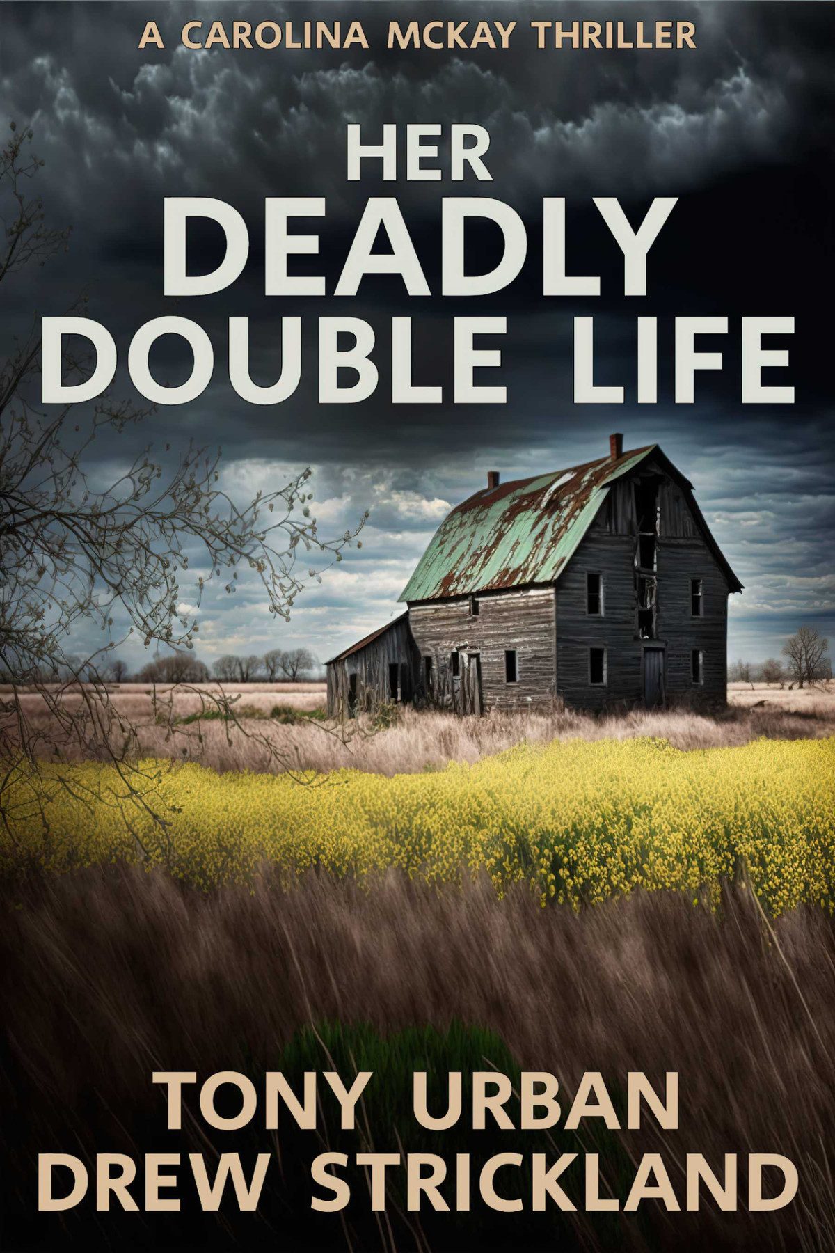 Her Deadly Double Life A Gripping Psychological Crime Thriller With A Jaw Dropping Twist Carolina Mckay Thriller Book 3 Strickland