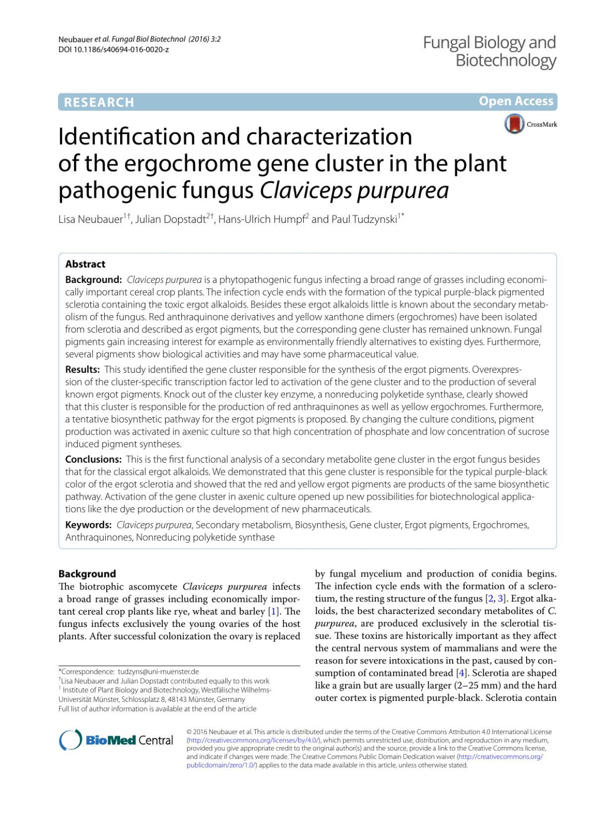 Identification And Characterization Of The Ergochrome Gene Cluster In The Plant Pathogenic Fungus Claviceps Purpurea Lisa Neubauer Julian Dopstadt Hansulrich Humpf Paul Tudzynski