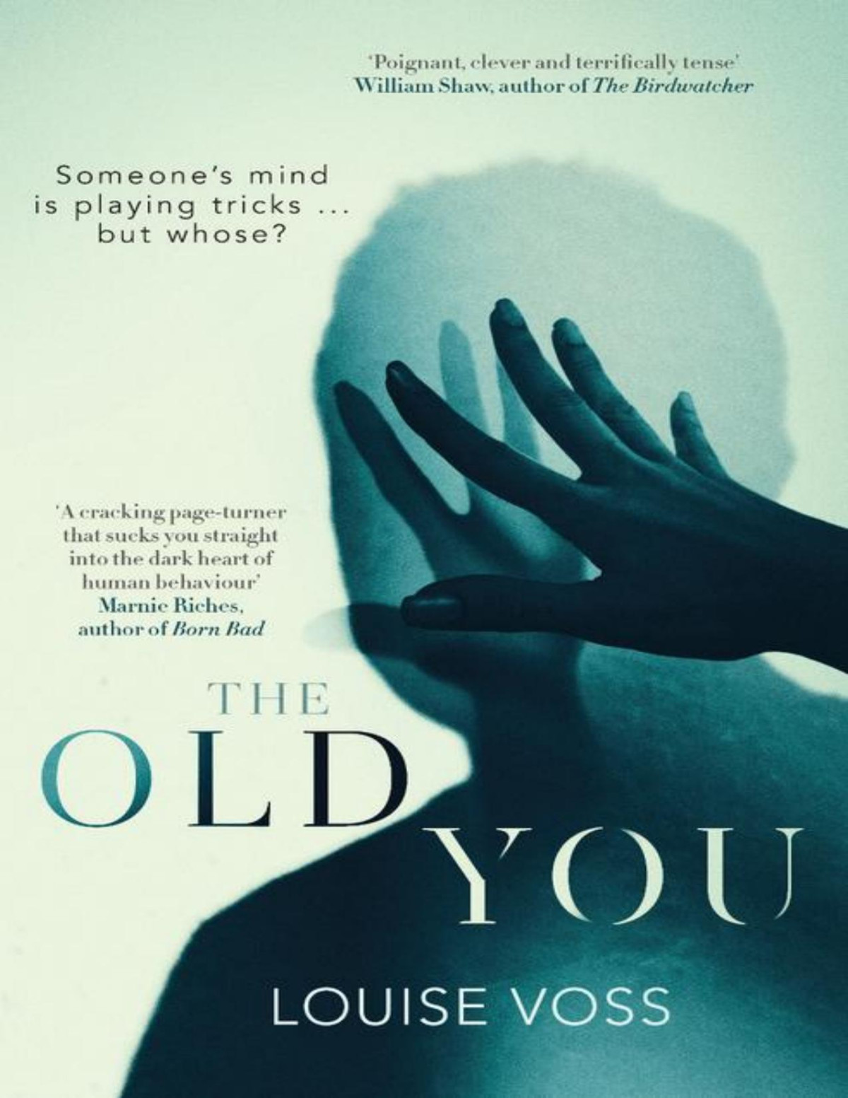 The Old You Louise Voss