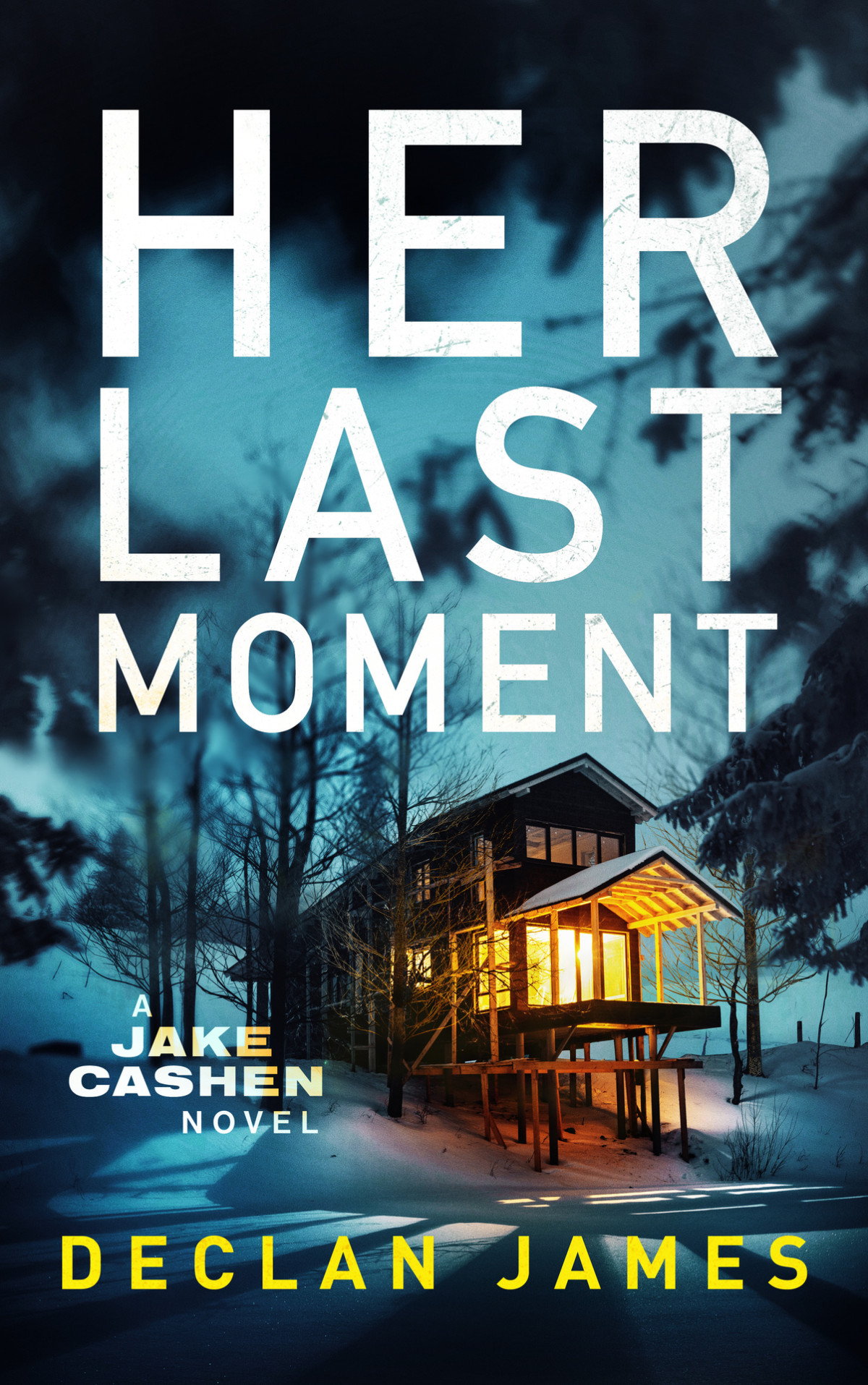 Her Last Moment Jake Cashen Crime Thriller Series Book 5 Declan James