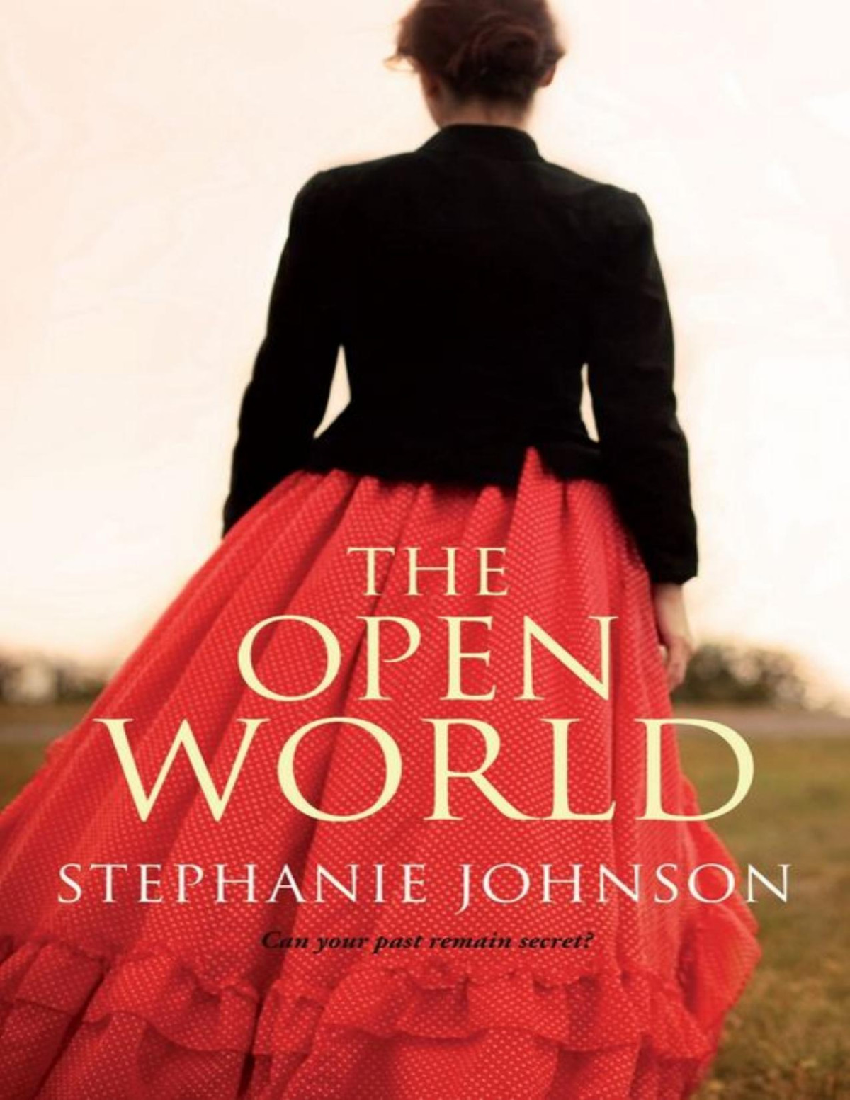 The Open World Stephanie Johnson