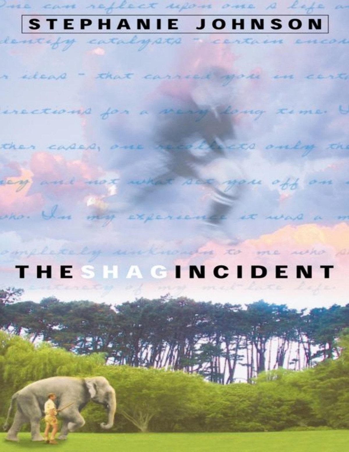 The Shag Incident Stephanie Johnson