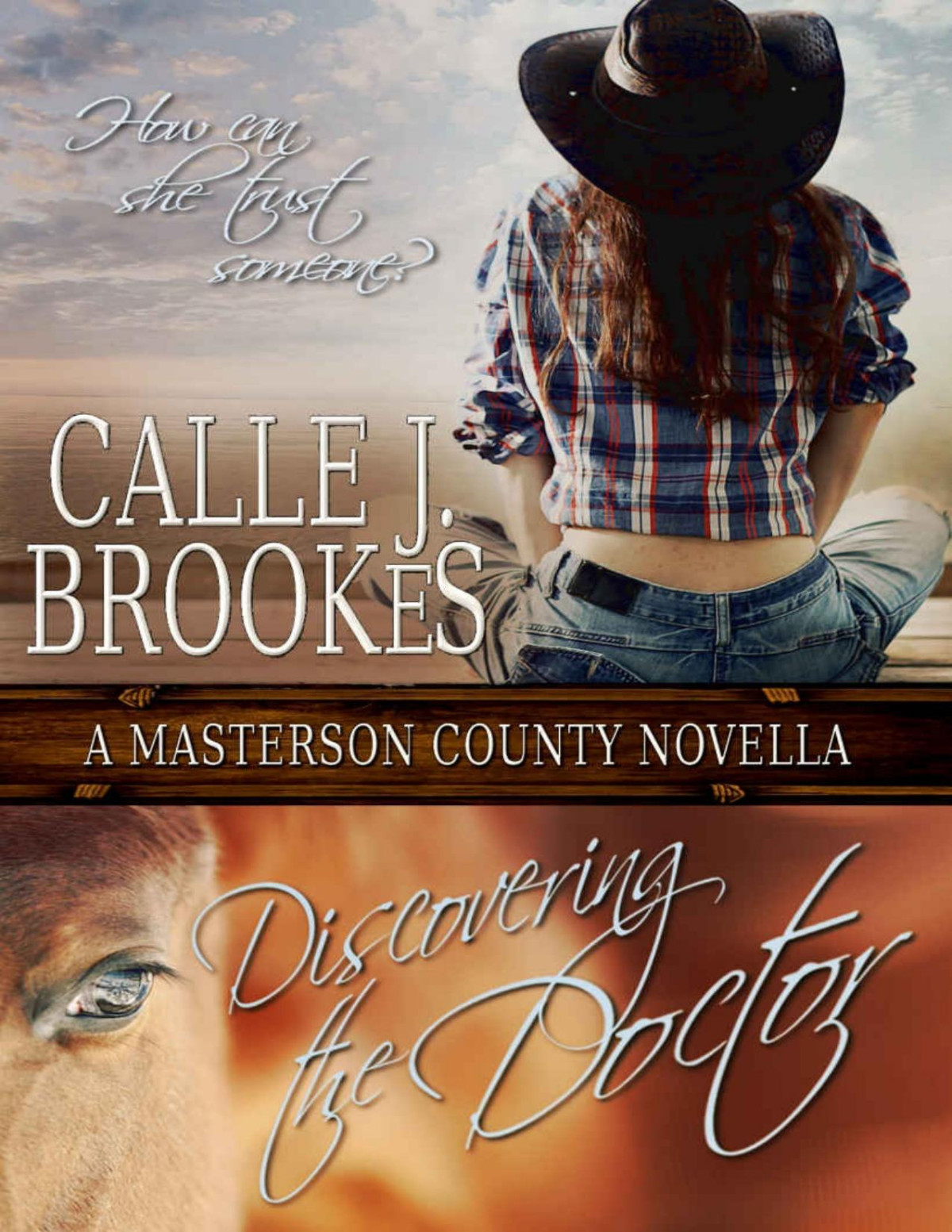 Discovering The Doctor Calle J Brookes