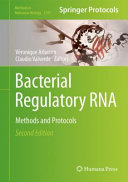 Bacterial Regulatory Rna Methods And Protocols 2nd Edition 2nd Vronique Arluison