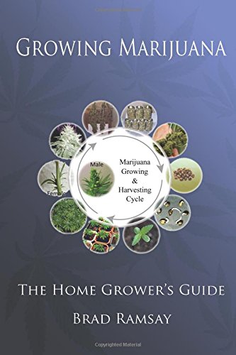 Growing Marijuana The Home Growers Guide 1st Edition Ramsay