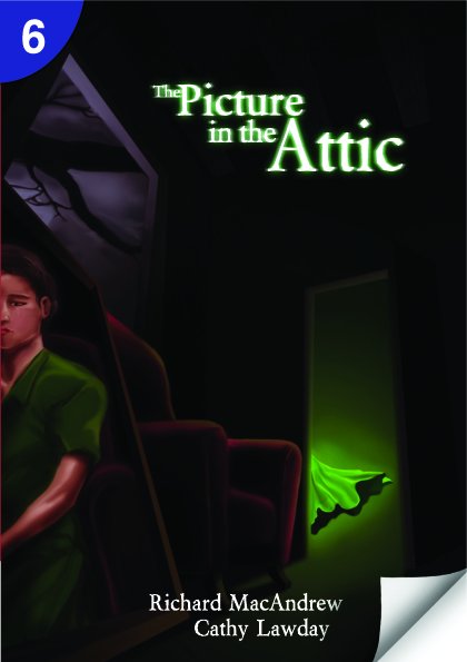The Picture In The Attic Page Turners Level 6 1st Edition Richard Macandrew