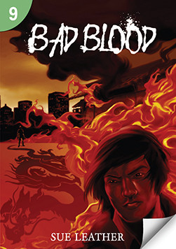 Bad Blood Page Turners Level 9 1st Edition Sue Leather